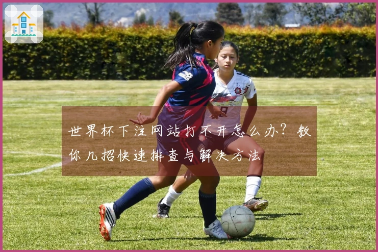 世界杯下注网站打不开怎么办？教你几招快速排查与解决方法