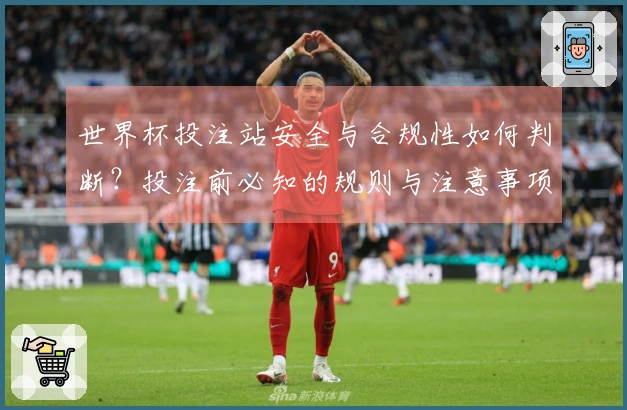 世界杯投注站安全与合规性如何判断？投注前必知的规则与注意事项