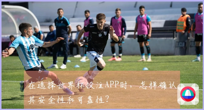 在选择世界杯投注APP时，怎样确认其安全性和可靠性？