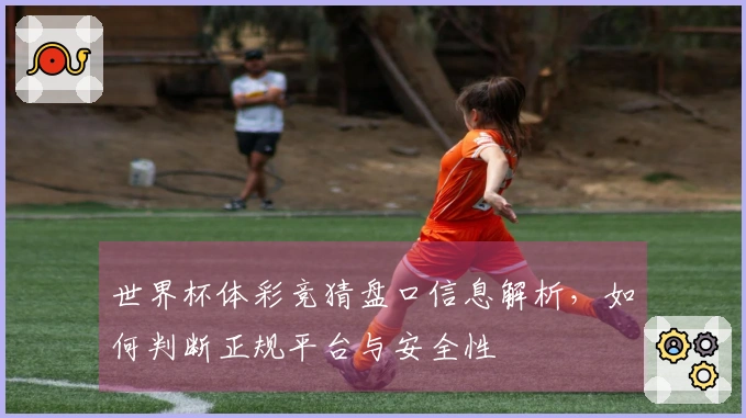 世界杯体彩竞猜盘口信息解析，如何判断正规平台与安全性