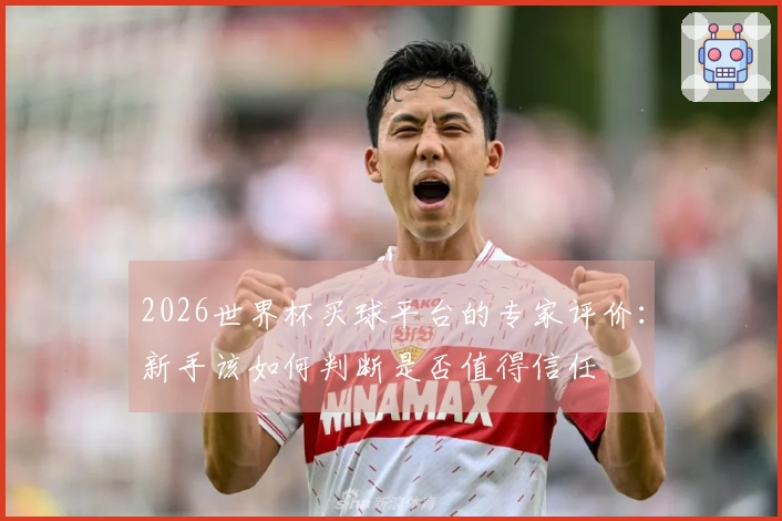 2026世界杯买球平台的专家评价：新手该如何判断是否值得信任