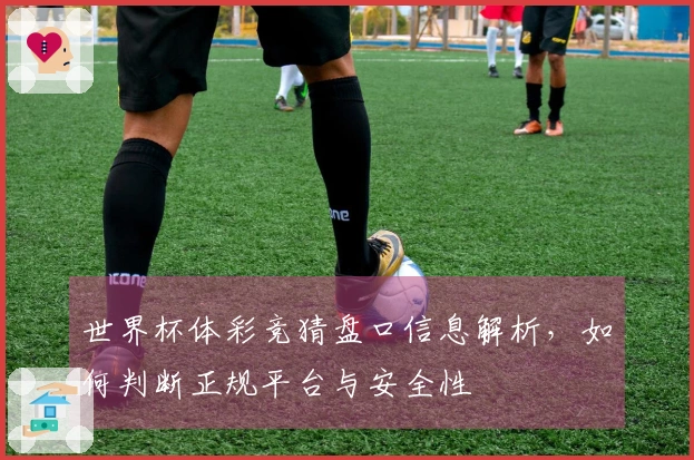 世界杯体彩竞猜盘口信息解析，如何判断正规平台与安全性