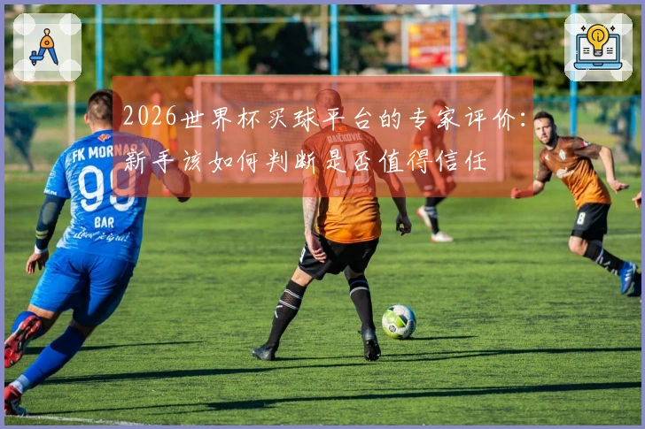 2026世界杯买球平台的专家评价：新手该如何判断是否值得信任